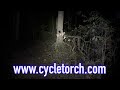 Is this low priced LED light any good?  Cycle Torch Shark 500 LED Cycle Light Review