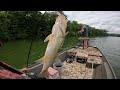 Live bait verses artificial May 6th Duck River with Josh