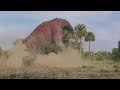 The Carnotaurus Attack - Dinosaur (HD Movie Clip)