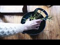 Making Sourdough | Houseplant Care | Garden Tasks | Slow Living Vlog