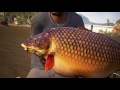 Euro Fishing 50 lb catch