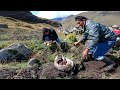 Así COSECHAMOS PAPAS en los Andes Peruanos - Tío Aurelio