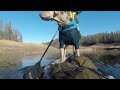 A clear lake paddleboard session with a Catahoula #highlights