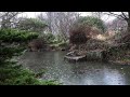 The peaceful sound of rain falling gently on a pond | Lack of sleep, rest | rain sound white noise