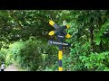 ASMR Walk Rail Corridor - Hillview to Beauty World Overhead Bridge #singapore #asmr #railcorridor