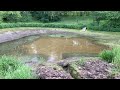 Dredging a farm pond with compact tractors Part 1