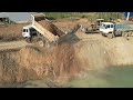 Update Project,  Special Pushing Soil Into Deep Water 30m, Komatsu D53P And Dump Trucks