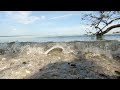 21mins of Nature ASMR - Old Tampa Bay (gandy) - 4k video!