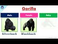 Male, Female and Young Animals Names | 25 Animal Names : Male, Female, and Young | Gender of Animals