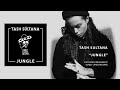 TASH SULTANA - JUNGLE (OFFICIAL AUDIO)