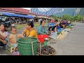 Harvest wild snails goes to the market to sell - gardening, cooking | Hà Tòn Chài