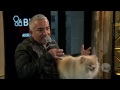 Dog Whisperer with Cesar Millan | AOL Build