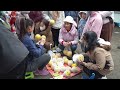 Harvesting Cantaloupe goes to market sell - Free farm life | Phuong Daily Harvesting