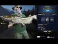 Channel Catfish Diamante - Call Of The Wild - The Angler
