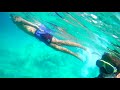 Snorkelling In The Sea(part 3)