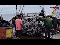 A Way For Fishermen Net Fishing Tuna - Giant Bluefin Tuna Catch Hundred Tons Tuna Fish On the sea #6