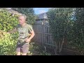 Garden CATASTROPHE gets FREE cleanup - part 2 | MASSIVELY overgrown garden beds.