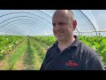Gardening With Ken - 10-Acres of Strawberries at Wilkin & Son, Tiptree