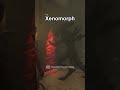 EVERY Killer Wall Break Animation #dbd