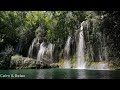 Relaxing Waterfall Nature Sounds-Natural music of Birds Chirping-Sleeping Bird Sound Meditation