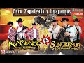 Alameños de La Sierra/Sonoreños Del Compa Tico ~ Puro Zapateado y Huapangos