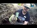 Digging an 1870's Blacksmiths Outhouse! RARE Druggist Bottle & HEARTBREAKING Bitters!