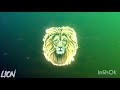 Dj The King - King Of The Jungle