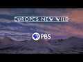 Europe's New Wild | The Eurasian Lynx | Episode 2 | Return of the Titans | PBS