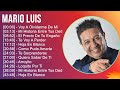 Mario Luis 2024 MIX Grandes Exitos - Voy A Olvidarme De Mi, Mi Historia Entre Tus Dedos, El Prec...