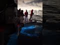 Bioluminescence with Davey’s Locker in Newport Beach 1/2/24 #bioluminescence #newportbeach #nature