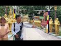 Chuyện Lạ Có Thật 👉 Bò Đi Chùa và Quỳ xuống cầu xin Được Cứu - Phải Chăng là Người Đầu Thai | Châu