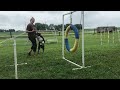 Tate and his full height tire training