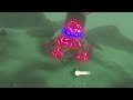 BoTW Funny moments/glitch compilation #2