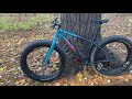 Trek Farley 5 Review