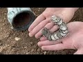 FOUND TREASURE CHEST WHİLE METAL DETECTİNG / TREASURE HUNT