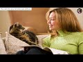 Why CATS Blink Their Eyes at You | Decoding Cat Communication