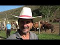 ARAÇÃO DE TERRA EM BORDA DA MATA-MG