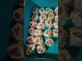 HOW TO MAKE SIOMAI. SIMPLE RECIPE 🥟🥢