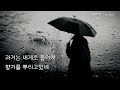 그대 떠나는 날 비가 오는가/ 산울림/ 가사/ COVER  Ocarina