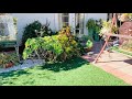 My Succulents Garden,My Haven #succulents #garden