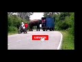 තවත් බුත්තල පාරේ අලි ප්‍රහාරයක්. buththala road elephant attack vehicle දවස ගානේ ඉහල යන අලි කරදර