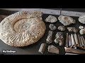 Hunt for GIANT AMMONITES | DINOSAUR BONES Found | Search for Fossils