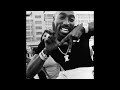 TUPAC x NAS TYPE BEAT 2023 (BECAUSE I - WITH HOOK) Ghost8eats