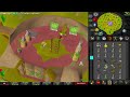 PKing with the New Noxious Halberd! (INSANE DPS) - OSRS