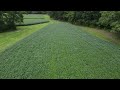 2 Acre field of beans on the backside of the little Farm