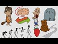 Exercise Makes You Smarter - This Is Why (animated)