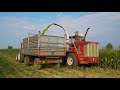 OLD SCHOOL CORN SILAGE 🇮🇹 | Hesston 7650 & Fiatagri 180-90 Pushing Silage