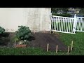 Soil Bed to Grow Box part 1