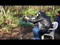 Target shooting AR-15