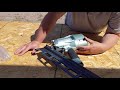 Unboxing - Metabo HPT NR83A5S Framing Nail Gun